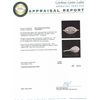 Image 3 : 14KT White Gold 0.18ctw Diamond Ring