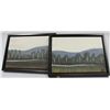 Image 1 : PAIR OF SHOWHOME CANVAS FOREST SCENE PICTURES