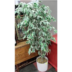 SHOWHOME FLOOR PLANT