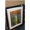 Image 1 : FRAMED AUTUMN TREE PICTURE