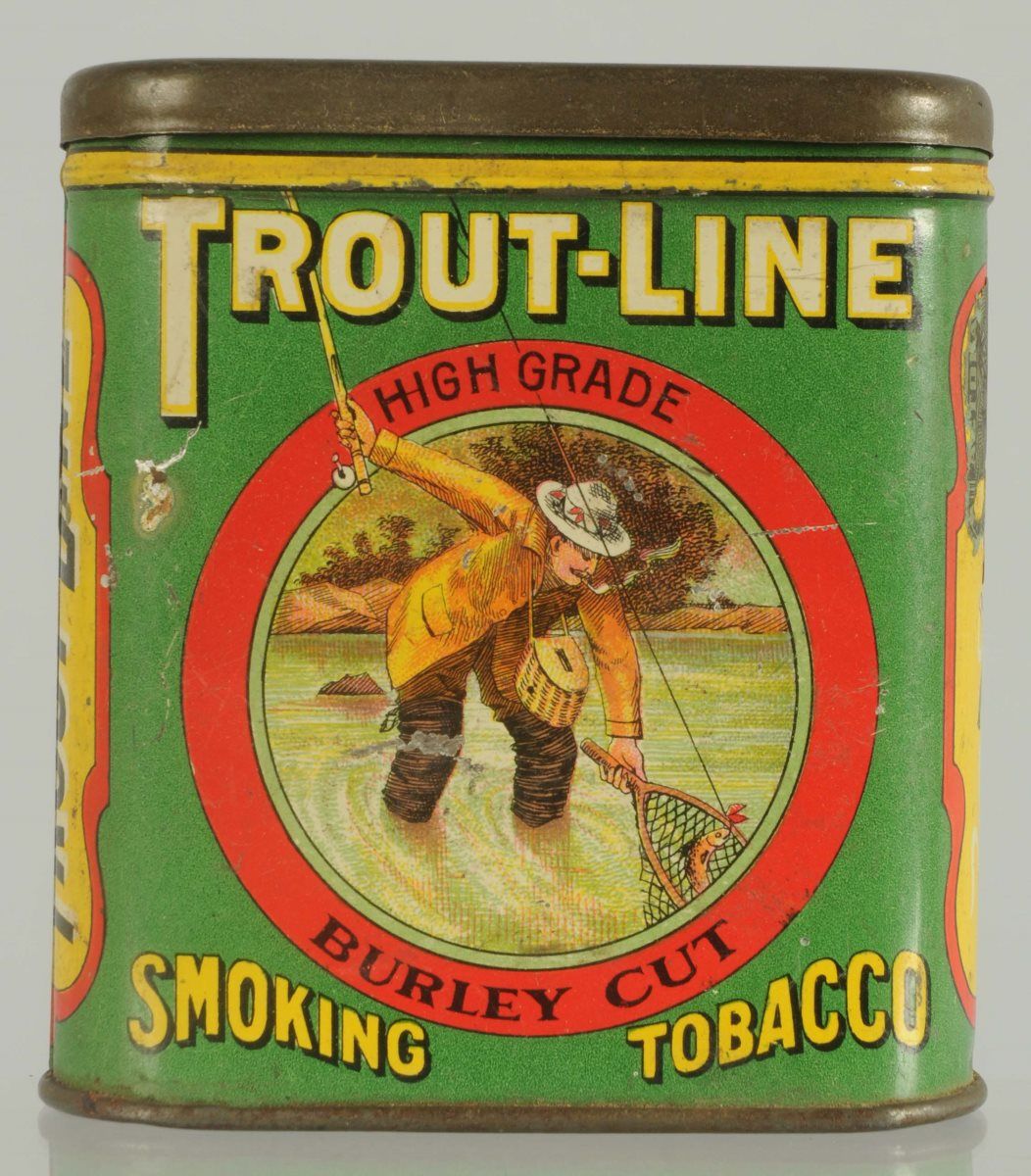 Types Of Trout In Mi At Christopher Cummings Blog - Foto 6