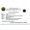 Image 2 : 6.98ct. One Oval Cut Natural Ruby