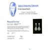 Image 3 : 14KT White Gold 2.87ct Diamond Earrings