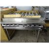 Image 1 : Commercial 4' Gas Char Grill On Stand - New - Jade?