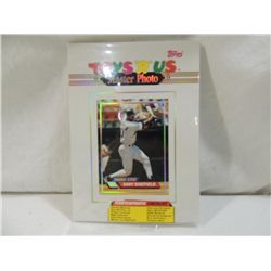 1993 TOPPS TOYS R US MASTER PHOTO CARDS
