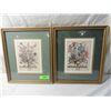 Image 1 : VINTAGE FLOWERS IN URN DRAWINGS PRINTS