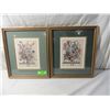 Image 4 : VINTAGE FLOWERS IN URN DRAWINGS PRINTS