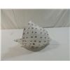 Image 2 : MURANO ITALIAN GLASS SEASHELL SCULPTURE