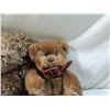 Image 4 : LOT 3 COTTAGE COLLECTIBLE BEARS BY GANZ