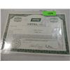 Image 1 : AMTEL INC STOCK CERTIFICATE