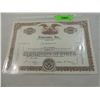 Image 1 : CINERAMA INC STOCK CERTIFICATE