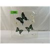 Image 1 : 6 BUTTERFLIES IN PEXIGLASS DISPLAY BOX