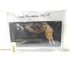 Image 1 : LARRY BIRD HOLOGRAM CARD SET