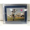 Image 2 : CONLON COLLECTION COLOR MASTERS SERIES 8X10 PHOTOS