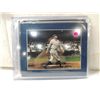 Image 2 : CONLON COLLECTION COLOR MASTER SERIES 8X10 PHOTOS