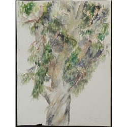 Betty Snyder Rees Original Eucalyptus Tree Painting