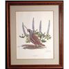 Image 1 : Ray Harm Limited Edition Framed Print