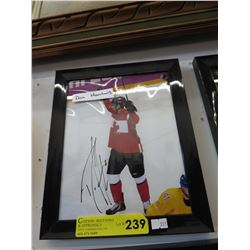 Autographed hockey photo - Dan Hamhuis
