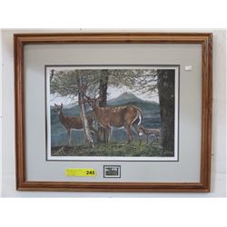 M. Visser commemorative print & stamp