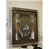 Image 1 : Framed print: "Winter Warrior" by Terry Isaac