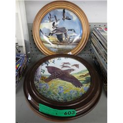 3 Collector plates in wood frames