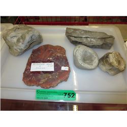5 Pieces of petrified wood & fossils - 8 lbs.
