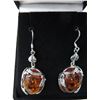 Image 1 : Silver Baltic Amber French hook earrings