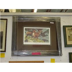 Framed print: "High Esteem" by Scott Kennedy