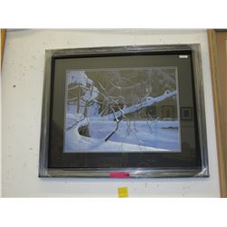 Framed print: "Twilight Timber" by Rod Tribiger