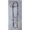 Image 1 : Les Garcia Headstall with Eagle Bit