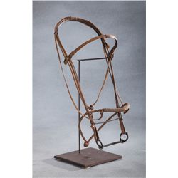 Fine Braided Bosel and Headstall