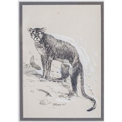 Edward Borein, pen & ink