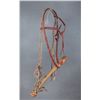 Image 1 : Luis B. Ortega Show Hackamore