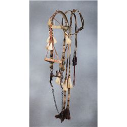 Good Luck Horsehair Bridle