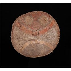 Comanche / Pueblo Shield