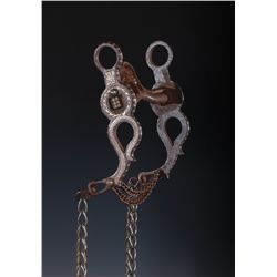 Chuck Irwin Snake Bit