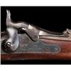 Image 2 : Springfield Model 1884 Trapdoor Rifle