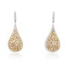 Image 1 : 14KT Two-Tone Gold 4.47ctw Diamond Earrings