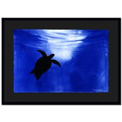 Turtle By Wyland