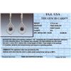 Image 3 : 14KT White Gold 3.68ctw Black Diamond Earrings