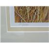 Image 3 : Artist Signed & Numbered Lion Print