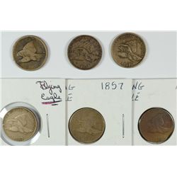LOT OF ( 6 ) FLYING EAGLE CENTS, G/VG