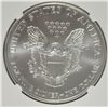 Image 3 : 2003 AMERICAN SILVER EAGLE, NGC MS-69!