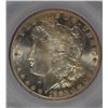 Image 2 : 1880-S MORGAN DOLLAR SEGS MS-64