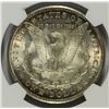 Image 3 : 1899-O MORGAN SILVER DOLLAR, NGC MS-64+  LOOKS MS-65