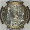 Image 2 : 1904-O MORGAN SILVER DOLLAR, NGC MS-64+  LOOKS MS-65