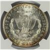 Image 3 : 1904-O MORGAN SILVER DOLLAR, NGC MS-64+  LOOKS MS-65