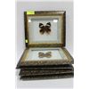 Image 1 : FRAMED BUTTERFLY X5