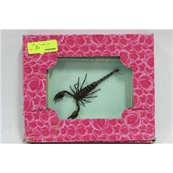 FRAMED SCORPION