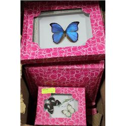 LARGE BOX OF FRAMED BUTTERFLIES ON CHOICE